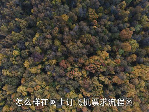 怎么樣在網(wǎng)上訂飛機(jī)票求流程圖