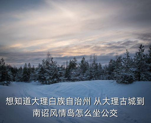 想知道大理白族自治州 從大理古城到南詔風(fēng)情島怎么坐公交