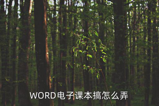 WORD電子課本搞怎么弄
