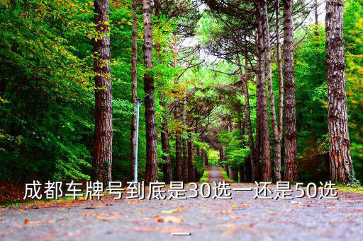 成都選號，成都網上選綠牌車牌號有幾次機會