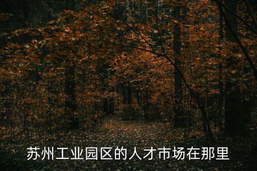 蘇州工業園區的人才市場在那里