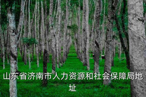 濟南市人力資源和社會保障局，山東省濟南市人力資源和社會保障局地址