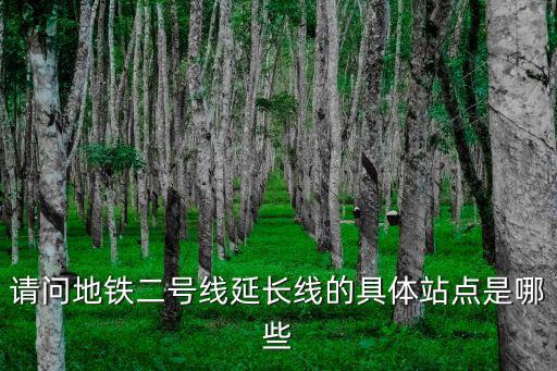 地鐵2號線延長線，南昌地鐵2號線東延長線什么時候開始動工
