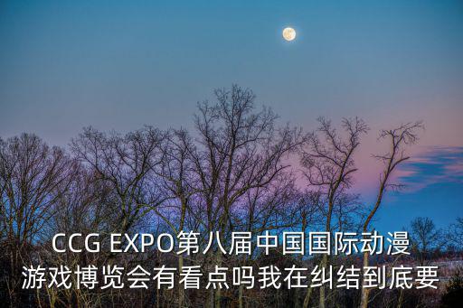 CCG EXPO第八屆中國(guó)國(guó)際動(dòng)漫游戲博覽會(huì)有看點(diǎn)嗎我在糾結(jié)到底要