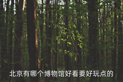 北京有哪個(gè)博物館好看要好玩點(diǎn)的
