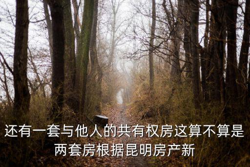 還有一套與他人的共有權(quán)房這算不算是兩套房根據(jù)昆明房產(chǎn)新