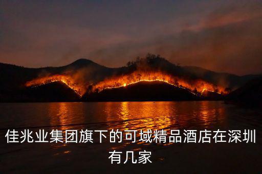 佳兆業(yè)集團旗下的可域精品酒店在深圳有幾家