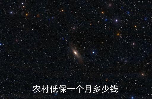 農村低保一個月多少錢