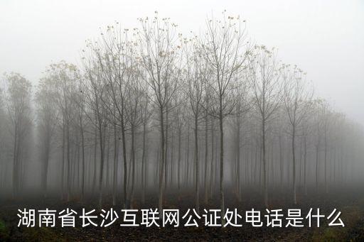 湖南省長沙互聯(lián)網(wǎng)公證處電話是什么