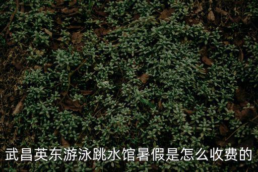 武昌英東游泳跳水館暑假是怎么收費的