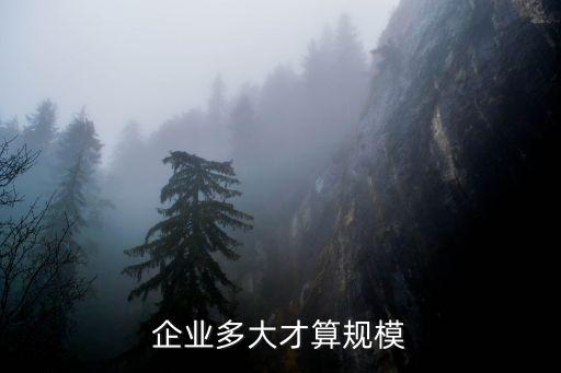 企業(yè)多大才算規(guī)模