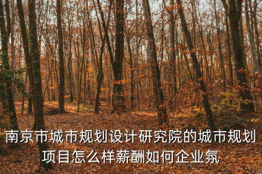 南京市城市規劃設計研究院的城市規劃項目怎么樣薪酬如何企業氛