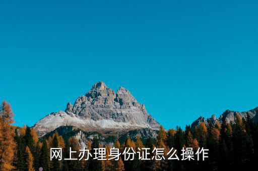 網上辦理身份證怎么操作