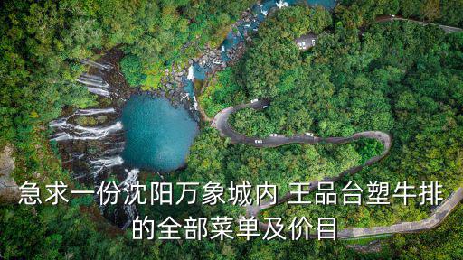 急求一份沈陽萬象城內(nèi) 王品臺塑牛排 的全部菜單及價目