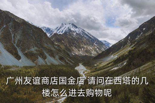 廣州友誼商店國金店 請問在西塔的幾樓怎么進去購物呢