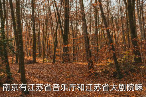 南京有江蘇省音樂廳和江蘇省大劇院嘛