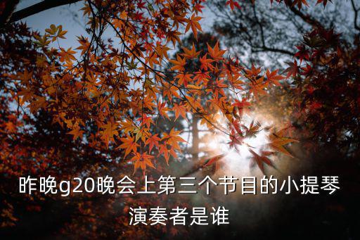 昨晚g20晚會上第三個節目的小提琴演奏者是誰