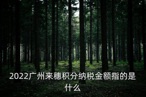 2022廣州來(lái)穗積分納稅金額指的是什么