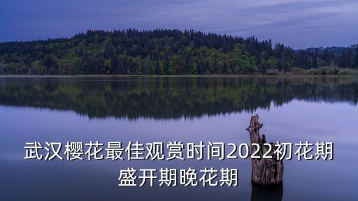武漢櫻花最佳觀賞時間2022初花期盛開期晚花期