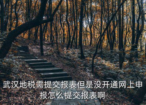 武漢地稅需提交報表但是沒開通網上申報怎么提交報表啊