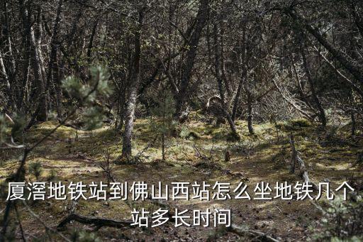 廈滘地鐵站到佛山西站怎么坐地鐵幾個(gè)站多長時(shí)間