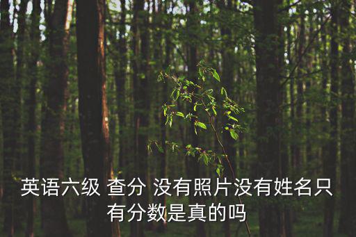 英語六級 查分 沒有照片沒有姓名只有分?jǐn)?shù)是真的嗎