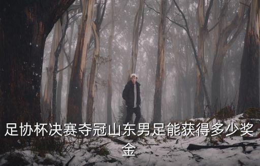 足協杯決賽奪冠山東男足能獲得多少獎金