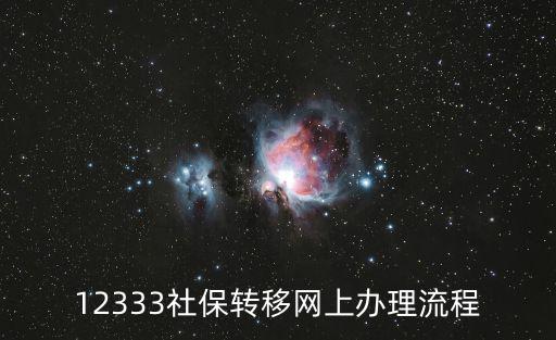 12333社保轉(zhuǎn)移網(wǎng)上辦理流程