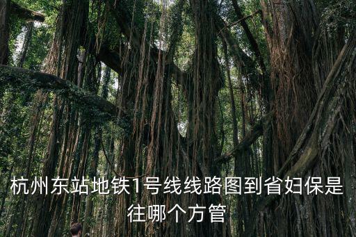杭州地鐵一號線線路圖，杭州東站地鐵1號線線路圖到省婦保是往哪個方管
