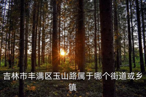吉林市豐滿區玉山路屬于哪個街道或鄉鎮