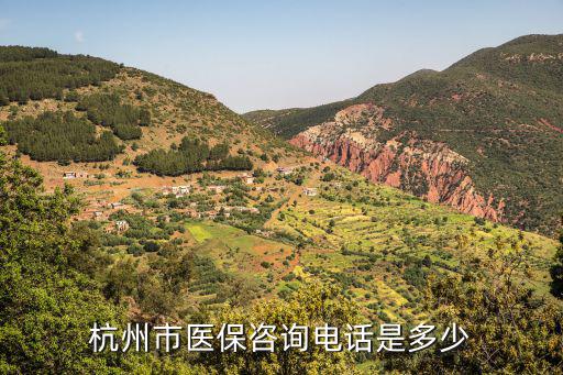 杭州市醫保咨詢電話是多少
