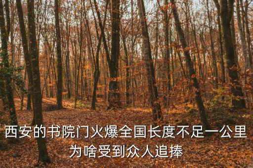 西安書院門，西安書院門有什么好玩的東西嗎