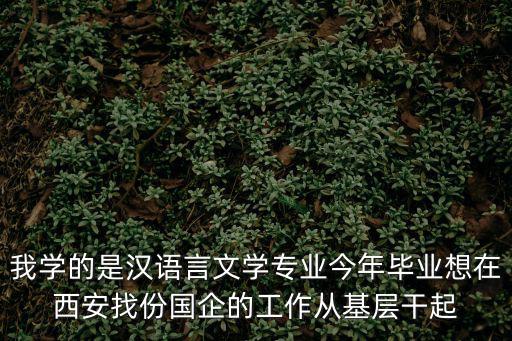西安國企招聘，西安國企高端就業(yè)都有哪些單位