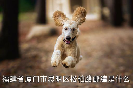 福建省廈門市思明區松柏路郵編是什么