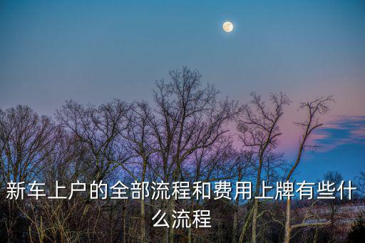 新車上牌照流程，從提車到上牌照應通過哪些流程如保險各種稅費哪個在前