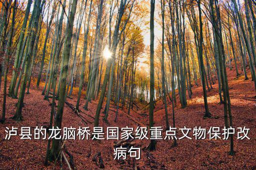 瀘縣的龍腦橋是國家級重點文物保護改病句