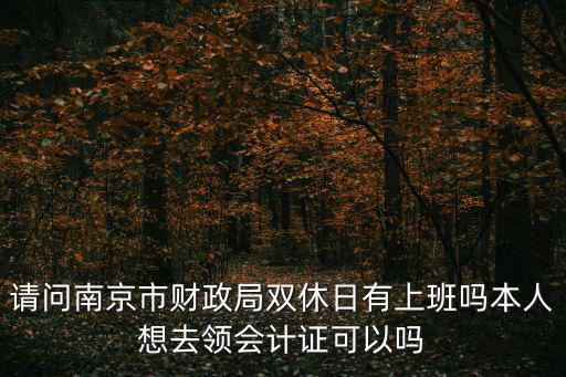 請問南京市財政局雙休日有上班嗎本人想去領會計證可以嗎