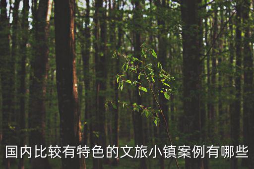 國內比較有特色的文旅小鎮案例有哪些