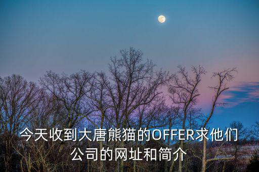 今天收到大唐熊貓的OFFER求他們公司的網址和簡介