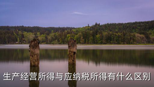 生產經營所得，我想問一下什么是生產經營所得