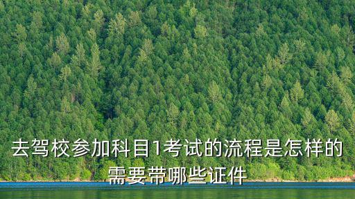 科一考試流程，去駕校參加科目1考試的流程是怎樣的需要帶哪些證件