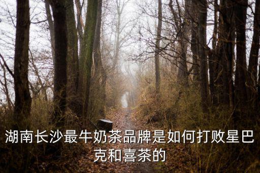 湖南長沙最牛奶茶品牌是如何打敗星巴克和喜茶的