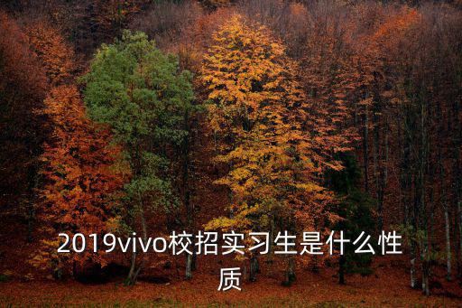 2019vivo校招實(shí)習(xí)生是什么性質(zhì)