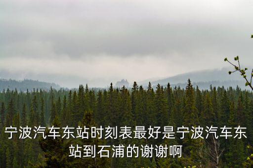 寧波汽車東站時刻表最好是寧波汽車東站到石浦的謝謝啊