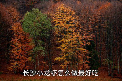 長沙小龍蝦怎么做最好吃