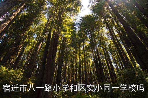 宿遷市八一路小學和區實小同一學校嗎