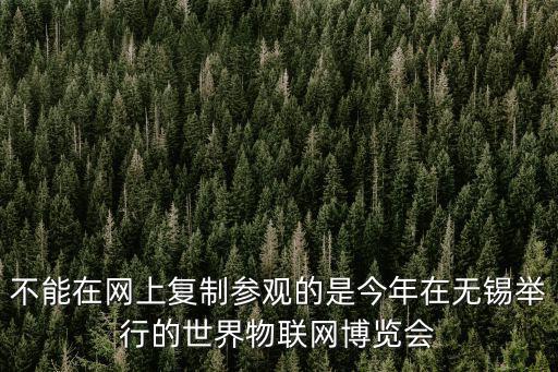 不能在網(wǎng)上復(fù)制參觀的是今年在無(wú)錫舉行的世界物聯(lián)網(wǎng)博覽會(huì)