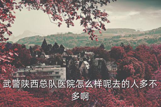 武警陜西總隊醫(yī)院，陜西省武警總隊醫(yī)院哪個學科最權威