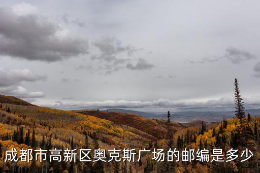成都奧克斯廣場，成都奧克斯廣場屬于哪個區 求解謝謝