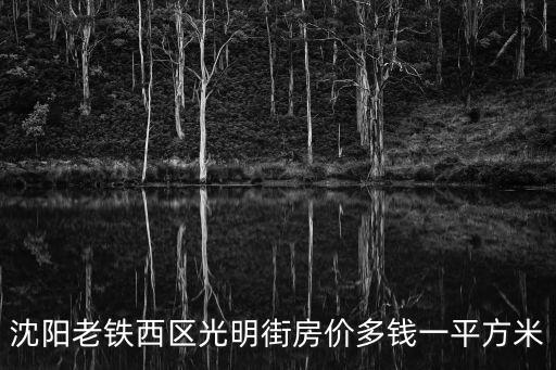 沈陽老鐵西區光明街房價多錢一平方米